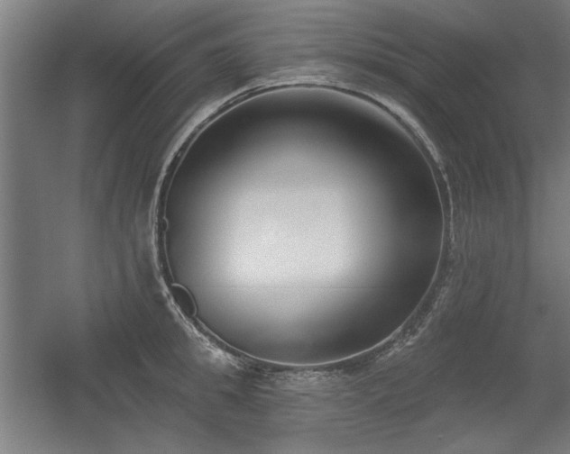 X0000056010949200508191258