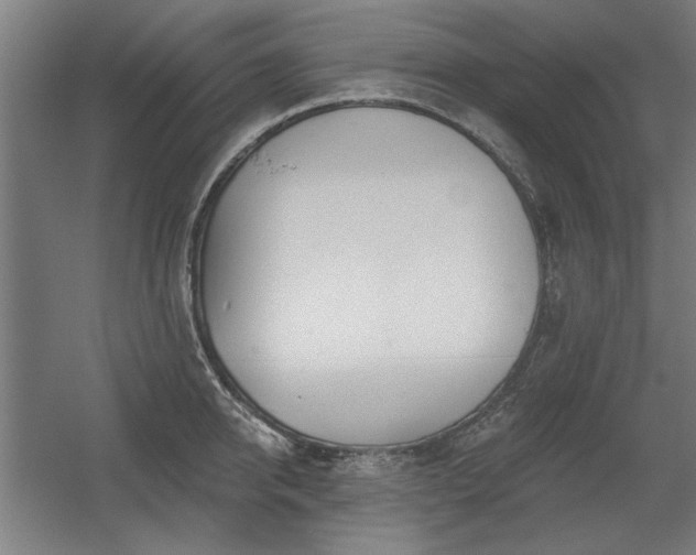 X0000056010950200508191258