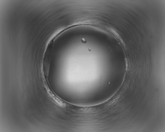 X0000056010952200508191258