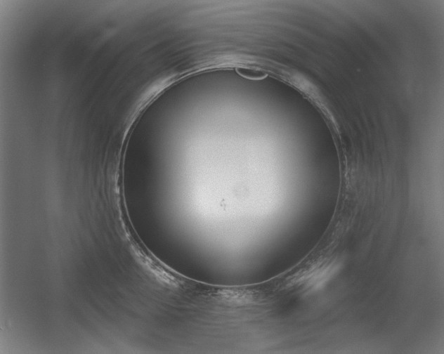 X0000056010954200508191258