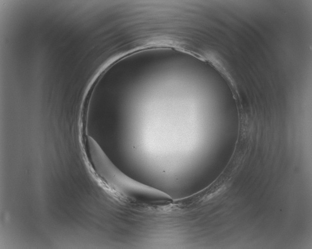 X0000056010955200508191258