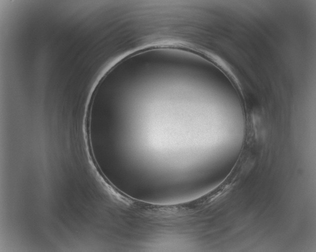 X0000056010959200508191258