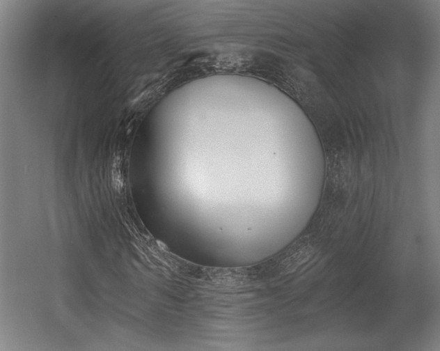X0000056010962200508191257
