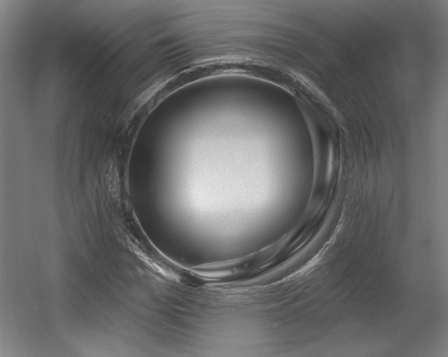 X0000056010969200508191257
