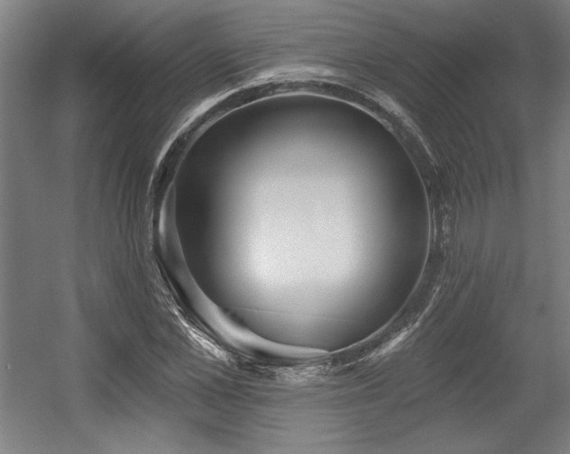 X0000056010973200508191257