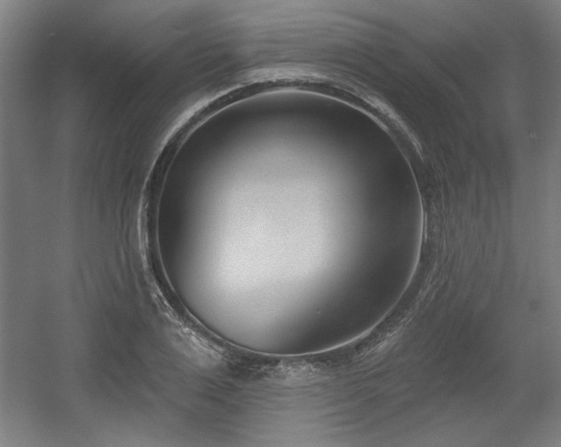 X0000056010983200508191257
