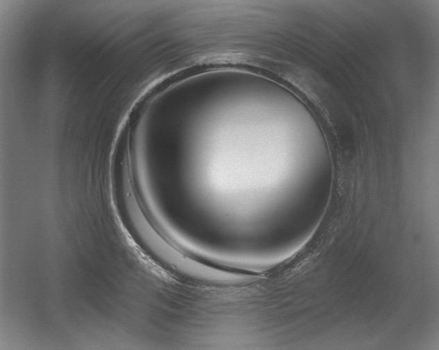 X0000056010984200508191257