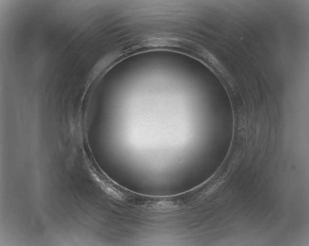 X0000056010986200508191256