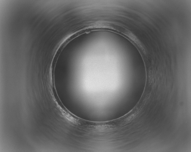 X0000056010988200508191256