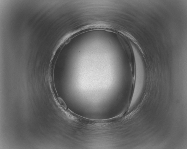 X0000056010989200508191256