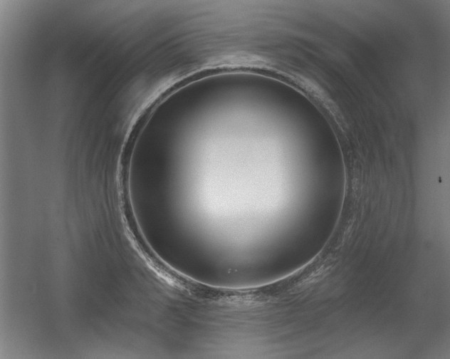 X0000056010990200508191256
