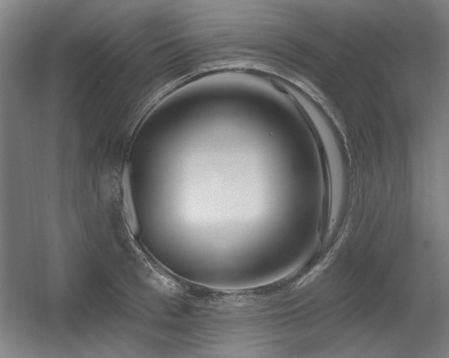 X0000056010993200508191256