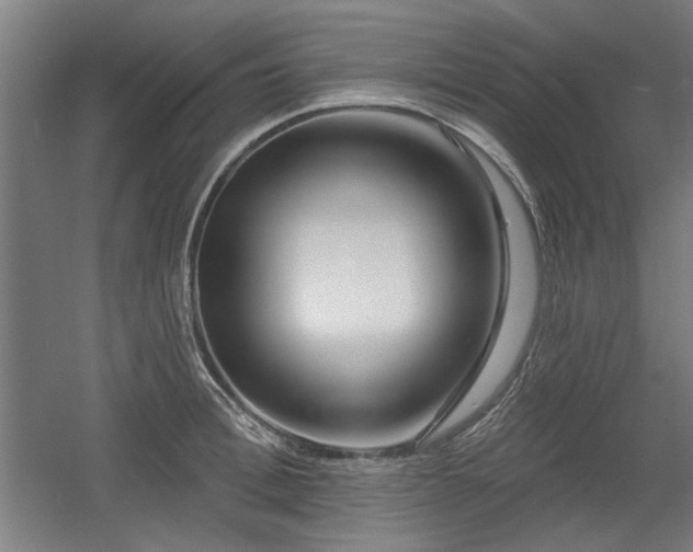 X0000056010996200508191256