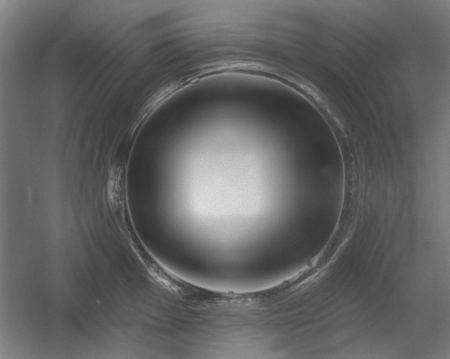 X0000056011001200508191256