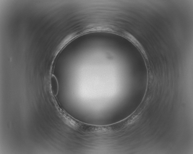 X0000056011002200508191256