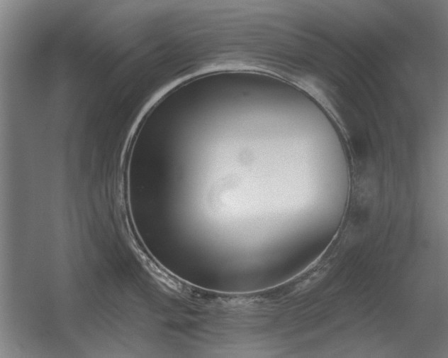 X0000056011004200508191256