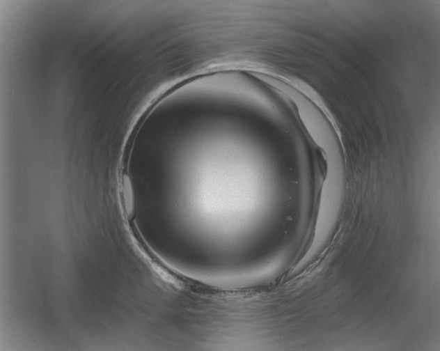 X0000056011005200508191256