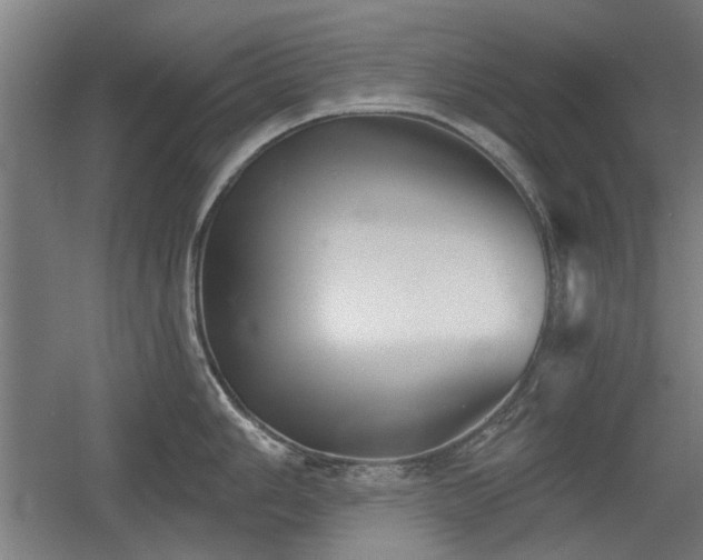 X0000056011006200508191256