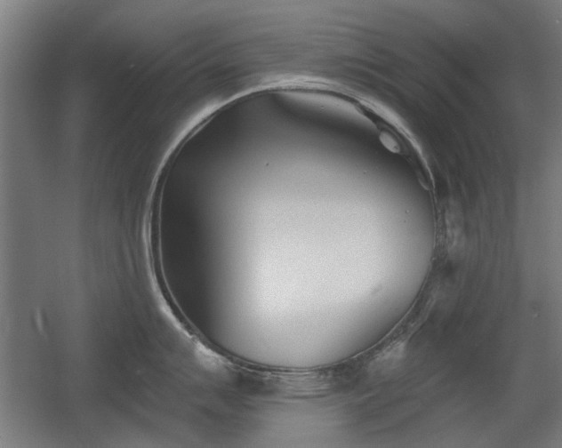 X0000056011007200508191256