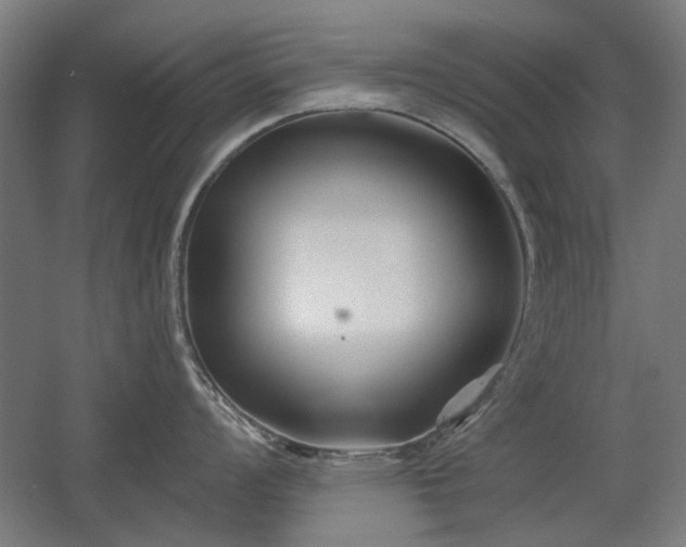 X0000056011008200508191256