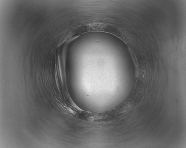 X0000056011010200508191255
