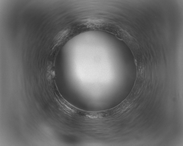 X0000056011012200508191255