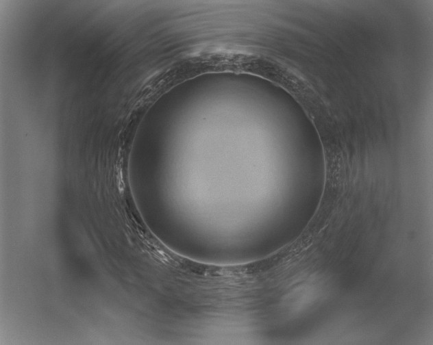 X0000056011013200508191255