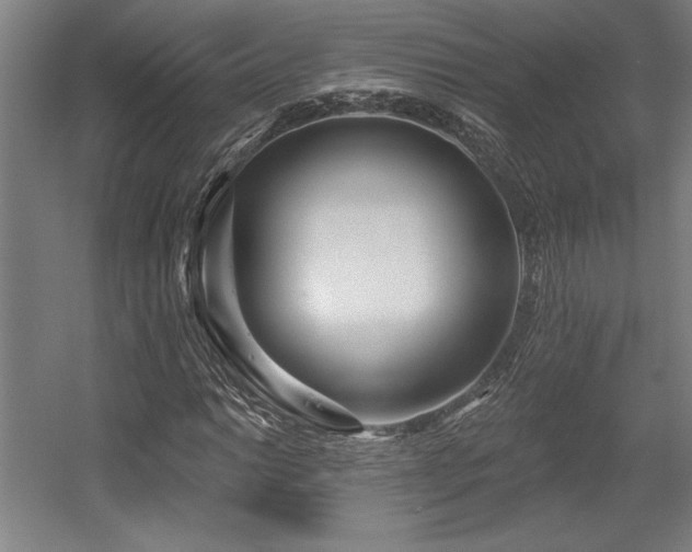 X0000056011014200508191255