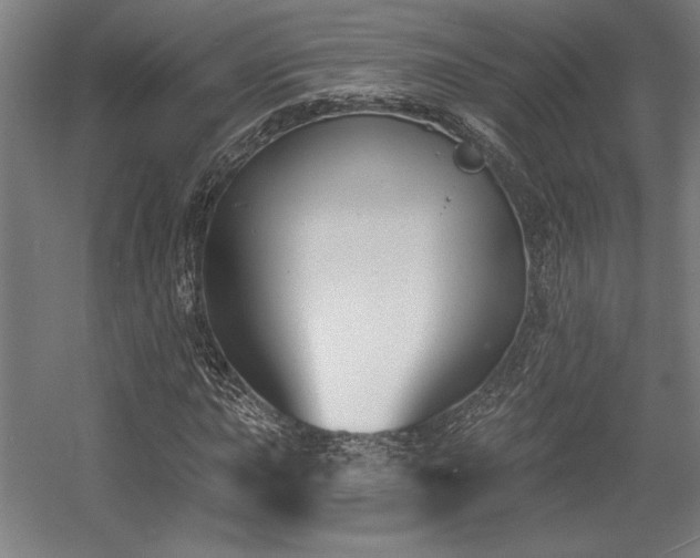 X0000056011015200508191255