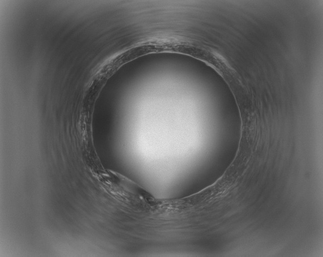 X0000056011016200508191255