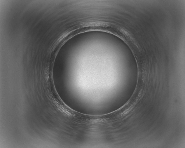 X0000056011017200508191255