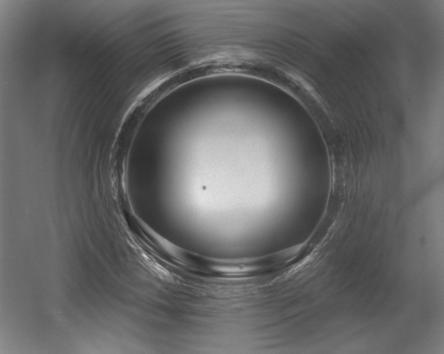 X0000056011018200508191255