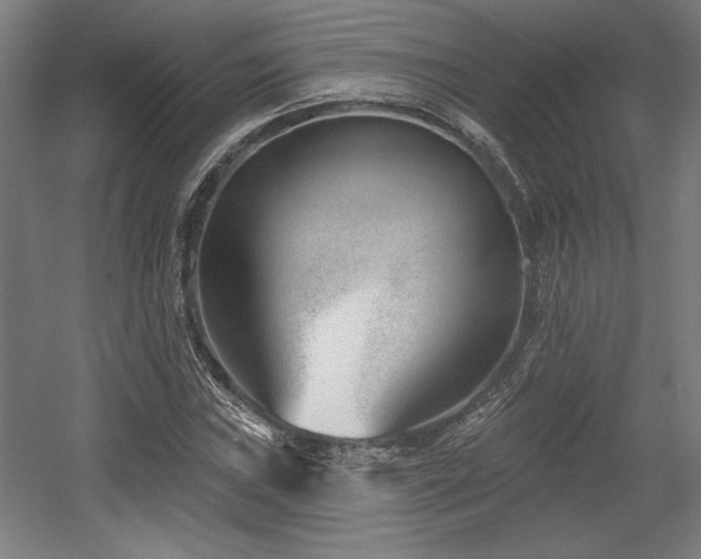 X0000056011019200508191255
