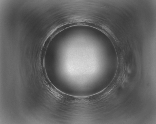 X0000056011023200508191256