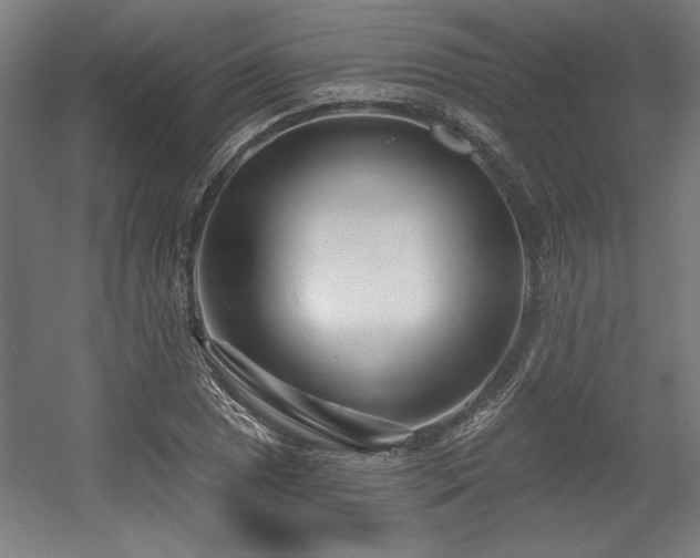 X0000056011025200508191256