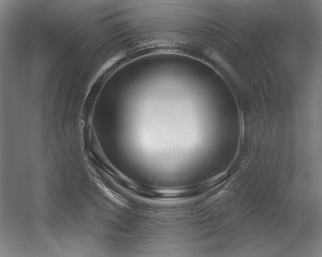 X0000056011026200508191256