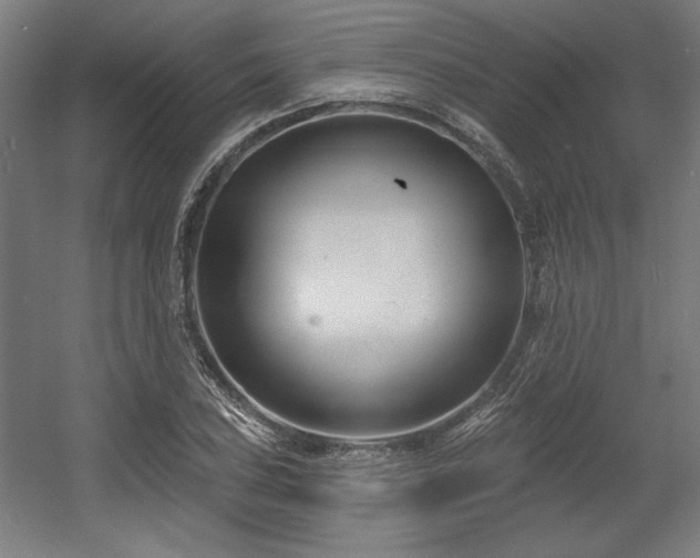 X0000056011027200508191256