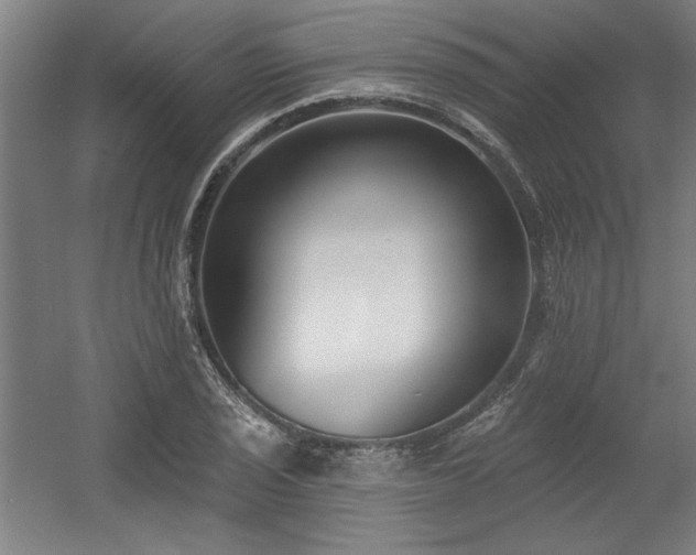 X0000056011029200508191256