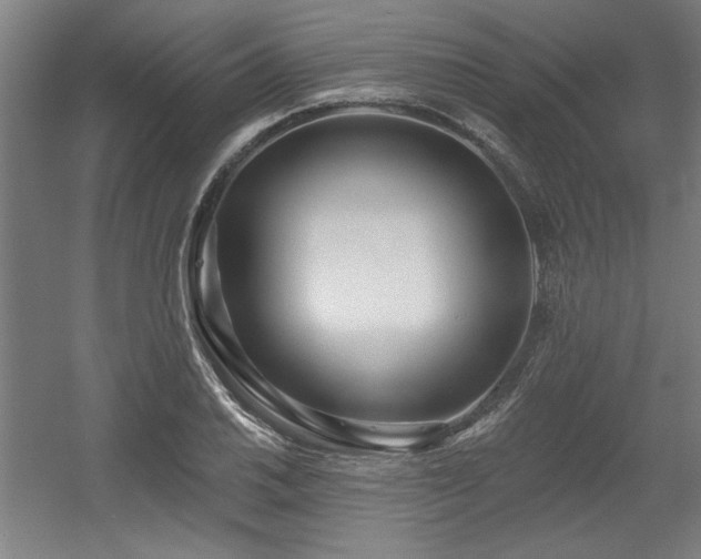 X0000056011030200508191256