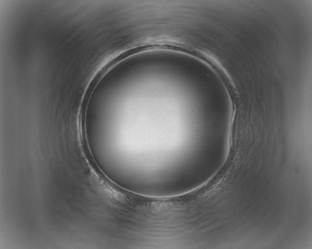 X0000056011032200508191256