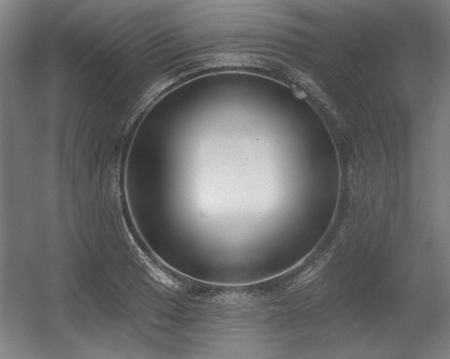 X0000056011033200508191256