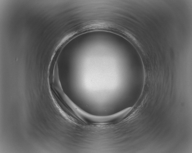 X0000056011034200508191256