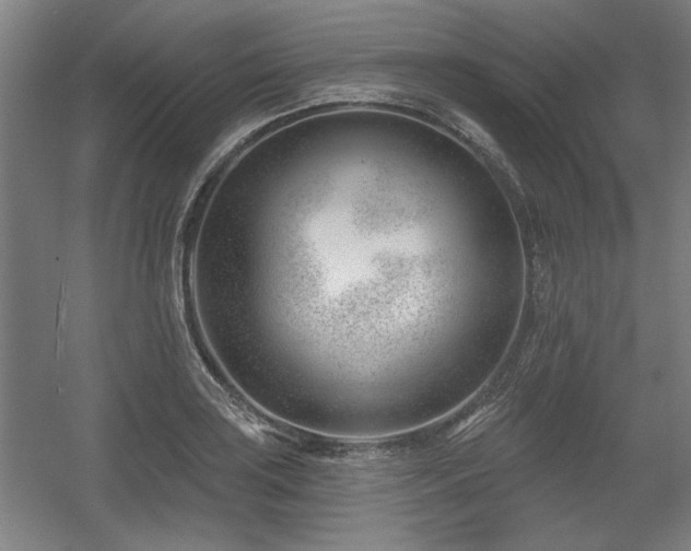 X0000056011035200508191256