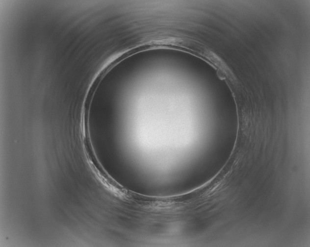 X0000056011036200508191256