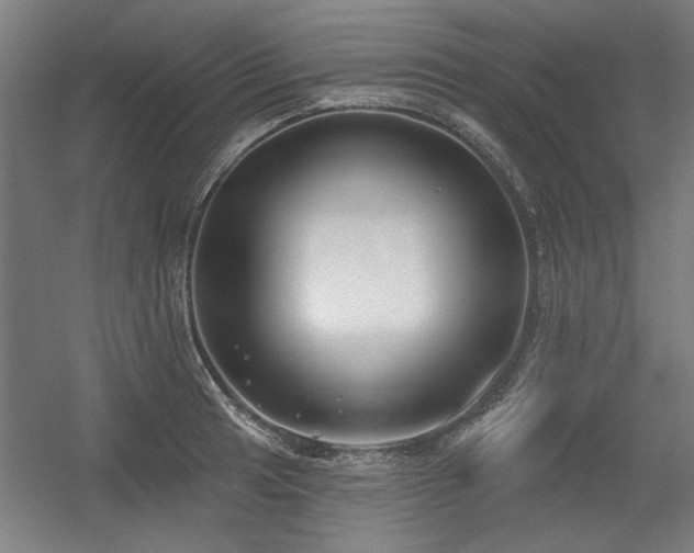 X0000056011041200508191256