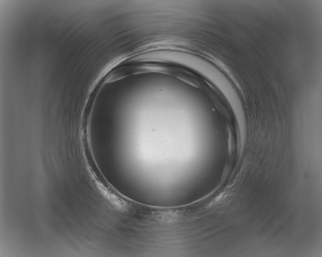 X0000056011042200508191256