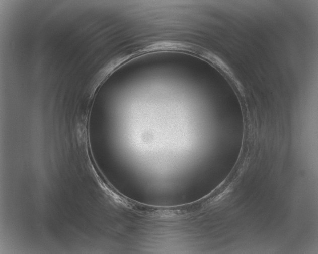 X0000056011049200508191256