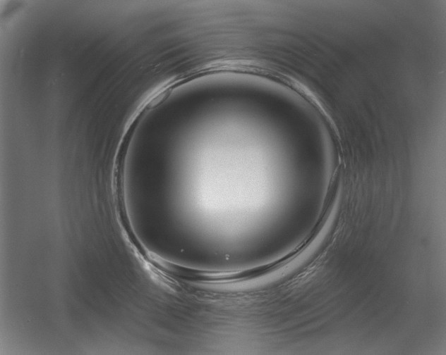X0000056011050200508191256