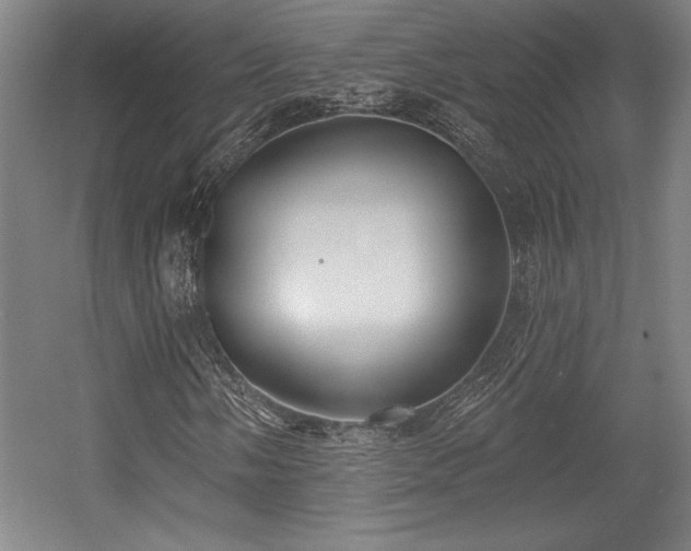 X0000056011058200508191255
