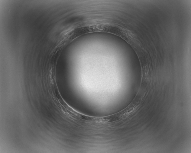 X0000056011060200508191255